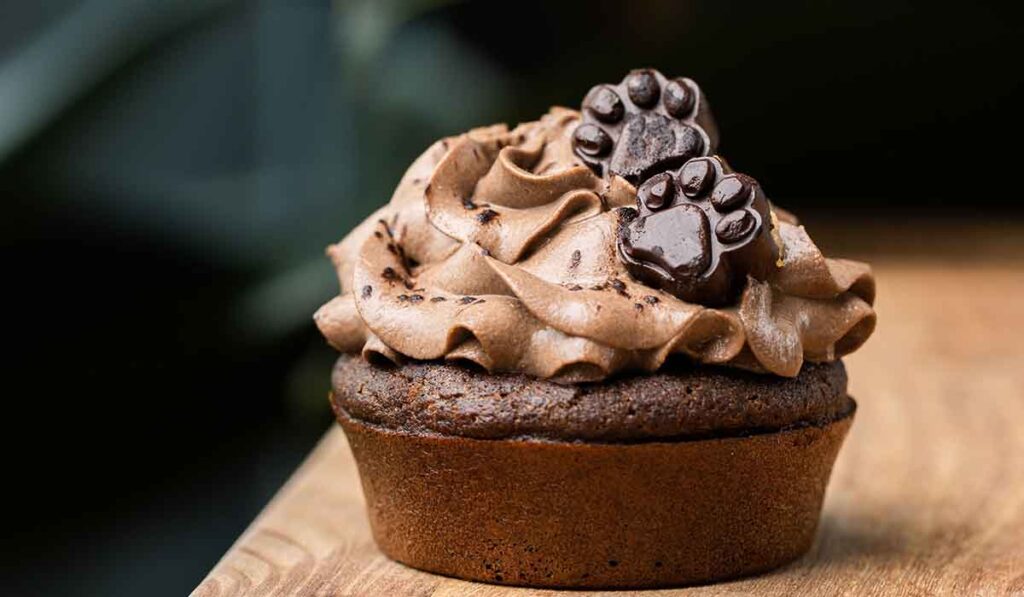 Muffin Coklat
